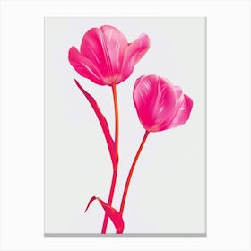 Hot Pink Tulip 4 Canvas Print
