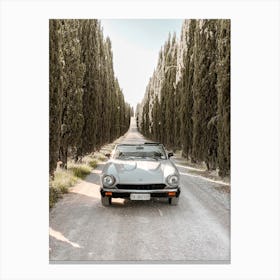 Fiat Spider Drive Through Cypress Hall in Tuscany Canvas Print