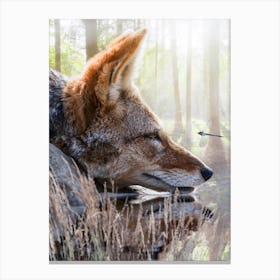 Fox And Dragonfly wildlife Canvas Print