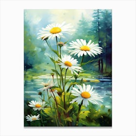 Daisy Wildflower In Rainforest, South Western Style (1) Canvas Print