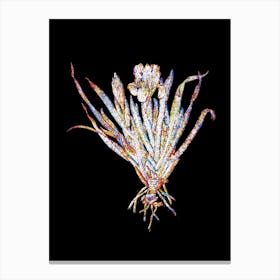 Stained Glass Crimean Iris Mosaic Botanical Illustration on Black n.0331 Canvas Print