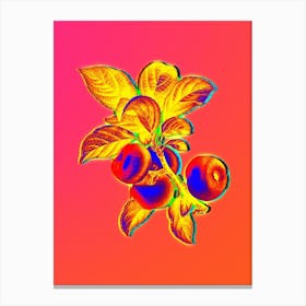 Neon Apple Botanical in Hot Pink and Electric Blue n.0242 Canvas Print
