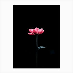 Lotus Flower 26 Canvas Print