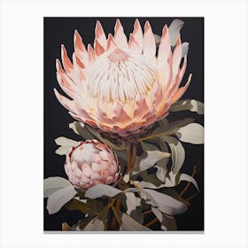 Flower Illustration Protea 11 Canvas Print