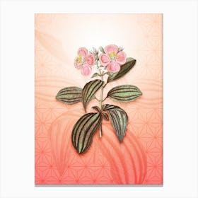 Starry Osbeckia Flower Vintage Botanical in Peach Fuzz Asanoha Star Pattern n.0025 Canvas Print