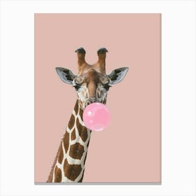 Giraffe Chewing Gum Canvas Print Canvas Print