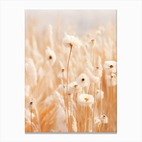 Boho Dried Flowers Daisy 1 Canvas Print