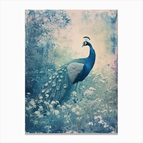 Vintage Photo Inspired Peacock In The Wild 1 Canvas Print