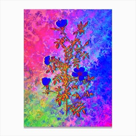Hedge Rose Botanical in Acid Neon Pink Green and Blue n.0273 Canvas Print