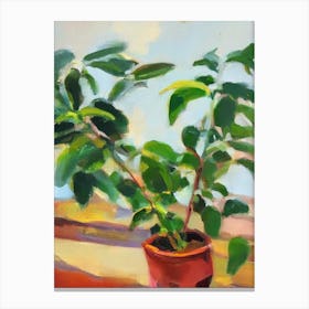 Coffee Plant 3 Impressionist Painting Canvas Print