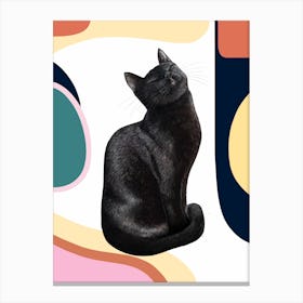 Black Cat On Modern Background Canvas Print