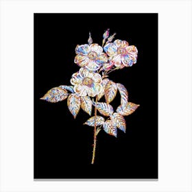 Stained Glass Rose of Castile Mosaic Botanical Illustration on Black n.0218 Canvas Print