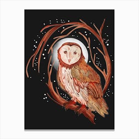 Nocturnal Barn Owl Canvas Print