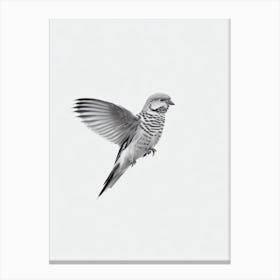 Budgerigar B&W Pencil Drawing 2 Bird Canvas Print