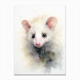 Light Watercolor Painting Of A Curious Possum 2 Canvas Print