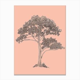 Sequoia Tree Minimalistic Drawing 1 Canvas Print