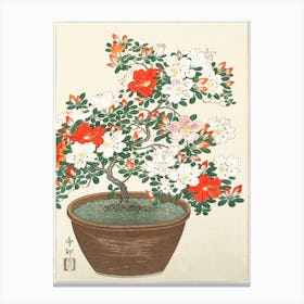 Blooming Azalea In Brown Pot (1920 1930), Ohara Koson Canvas Print