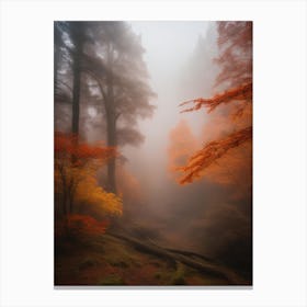 Enchanted Woods Canvas Print