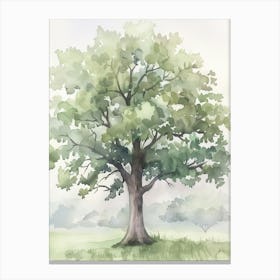 Walnut Tree Atmospheric Watercolour Painting 1 Canvas Print