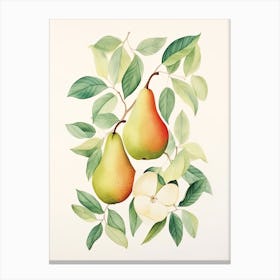 Pears And Apples Canvas Print