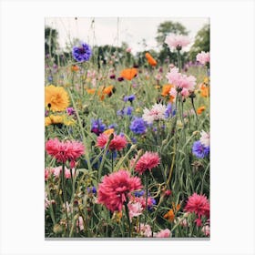 Wildflower Meadow Canvas Print