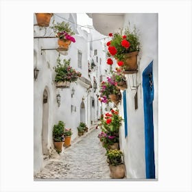 Whitewashed Alley Canvas Print