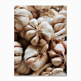 Kitchen Essentials – Garlic Canvas Print