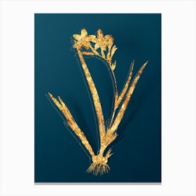 Vintage Gladiolus Cardinalis Botanical in Gold on Teal Blue n.0126 Canvas Print