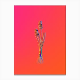 Neon Autumn Squill Botanical in Hot Pink and Electric Blue n.0289 Canvas Print