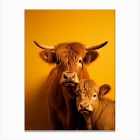 Yellow Photographic Portrait Of Highland Cow And Calf 2 Canvas Print
