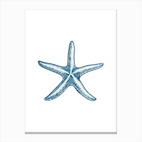 Starfish 32 Canvas Print