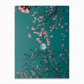 Bloom Canvas Print