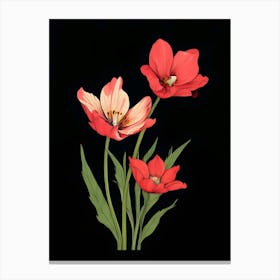 Red Tulips 3 Canvas Print