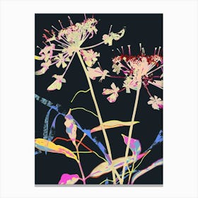 Neon Flowers On Black Queen Annes Lace 4 Canvas Print