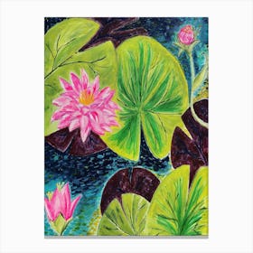 Lillypads Canvas Print