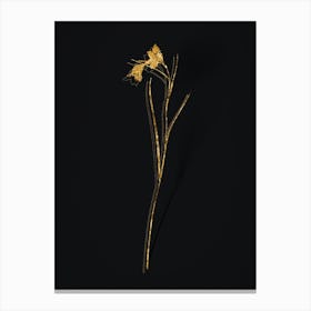 Vintage Blue Pipe Botanical in Gold on Black n.0382 Canvas Print