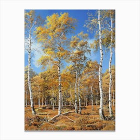 Birch Trees In Autumn 6 Canvas Print