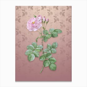 Vintage Damask Rose Botanical on Dusty Pink Pattern n.0127 Canvas Print