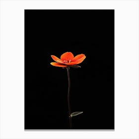 Single Orange Flower 14 Canvas Print