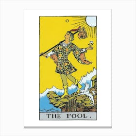 The Fool Canvas Print