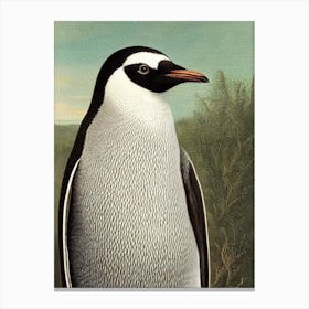 Penguin Haeckel Style Vintage Illustration Bird Canvas Print