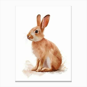 Chinchilla Rabbit Nursery Illustration 1 Canvas Print
