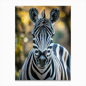 Zebra Canvas Print