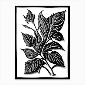 Stevia Leaf Linocut 2 Canvas Print