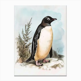 Adlie Penguin Carcass Island Vintage Botanical Painting 1 Canvas Print