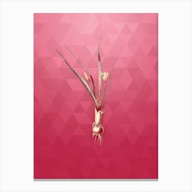 Vintage Weevil wort Botanical in Gold on Viva Magenta n.0710 Canvas Print