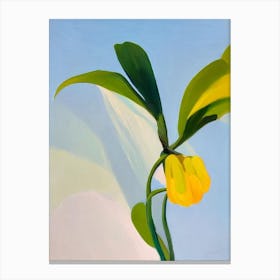 Burro’S Tail Bold Graphic Plant Canvas Print