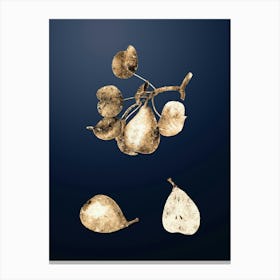 Gold Botanical Pear on Midnight Navy n.0860 Canvas Print