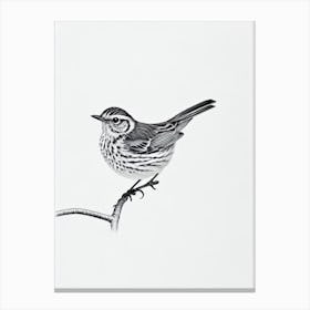 Hermit Thrush B&W Pencil Drawing 3 Bird Canvas Print