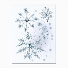 Snowflakes In The Snow,  Snowflakes Quentin Blake Illustration Canvas Print